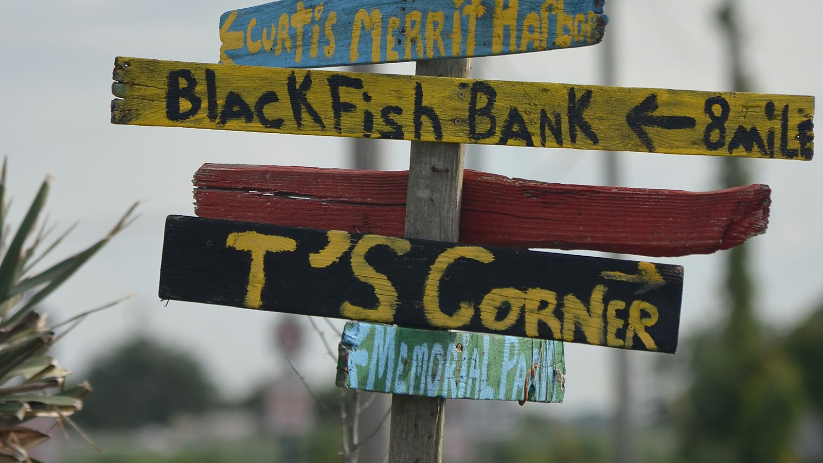 A hand-painted wooden signpost with arrows pointing in several directions, in yellow, red, black and blue, against a soft grey sky